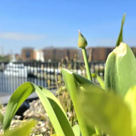 Lägenhet My Way, Parking, Kids Play & Gym By Triapart *